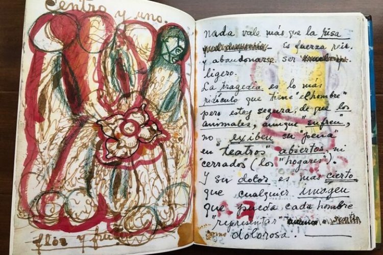 Frida Kahlo élete és művészete