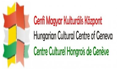 2022 novemberi programok