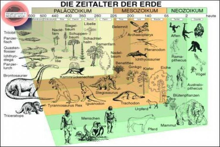 Anthropozän, das neue geologische Zeitalter