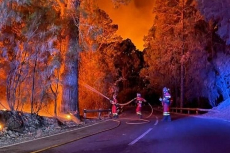 Thousands evacuated fromTenerife