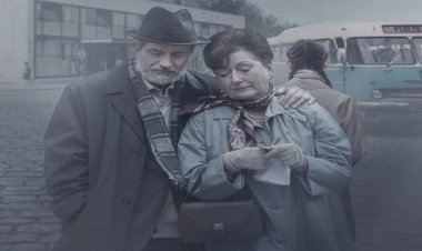 PACSIRTA / Feldlerche / SKYLARK