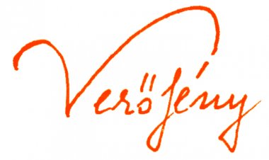 Petőfi 200. évfordulójának ünneplése Linzben