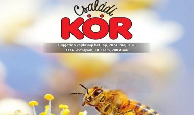 Családi Kör XXXV.évf.20.szám