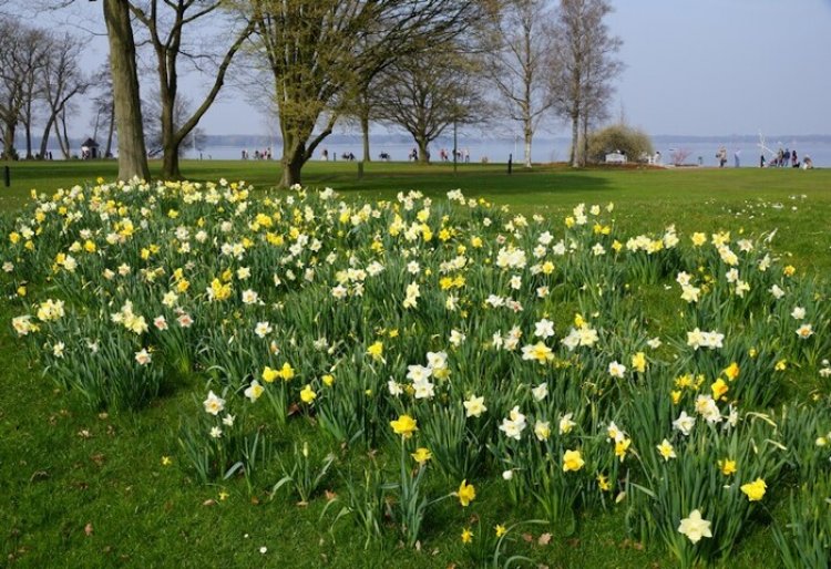 Frühjahrsbrise in Ungarn