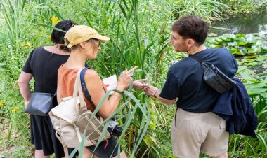 Learning from Nature? – Botany