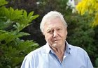 Sir David Attenborough  kiállítás Bujákon