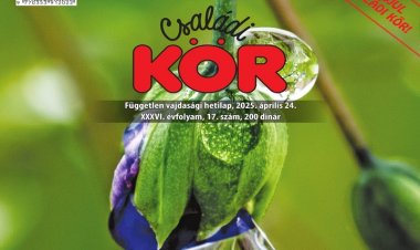 Sajtó  Családi Kör XXVI. évf. 17.szám