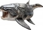 Armored fish may have given rise to teeth in animals