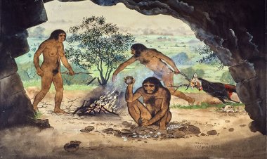 Egy Homo erectus a tengerfenékről