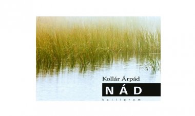Kollár Árpád új verseskötete